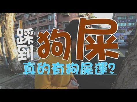 踩到狗大便號碼|狗便號碼神奇力量